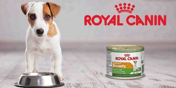 Royal Canin (Karaliskā Canin)
