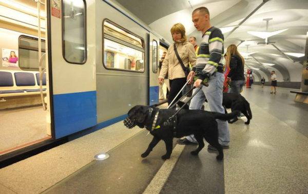 Vadības suņi metro